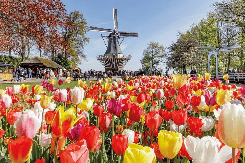 Amsterdam City Pass